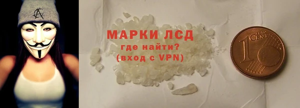 сатива Кинешма