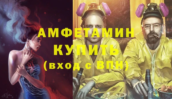 сатива Кинешма