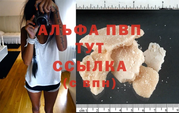 сатива Кинешма